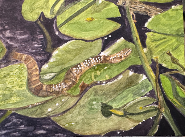 Among the Lilies by Shelley Crouch