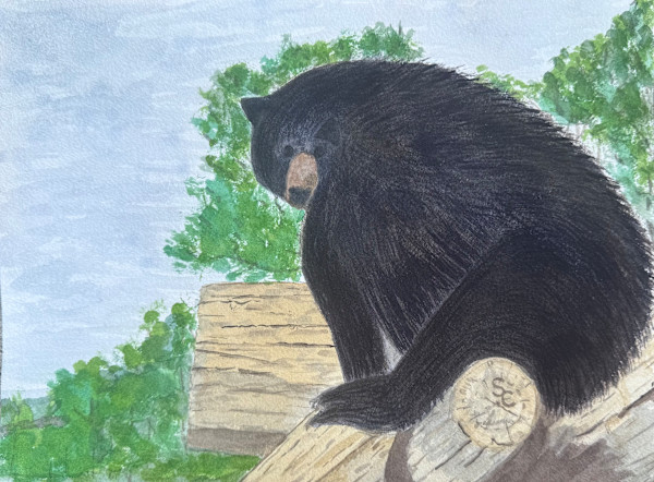 Bear on a Log by Shelley Crouch, Image 1.