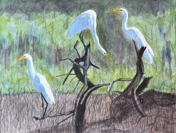 No Regrets, Only Egrets by Shelley Crouch, Image 1.