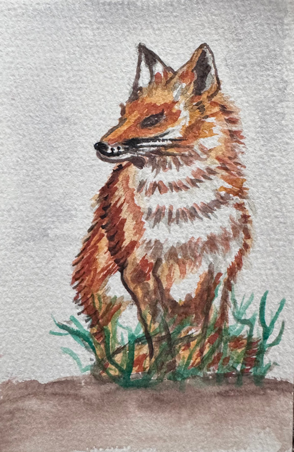 Red Fox by Shelley Crouch, Image 1.