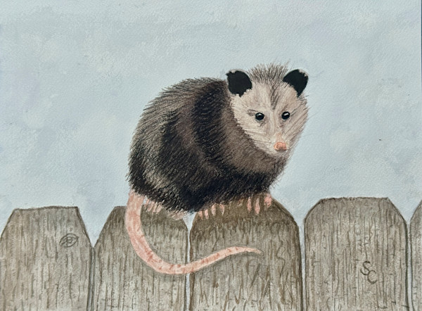 Impossumble (Opossum) by Shelley Crouch, Image 1.