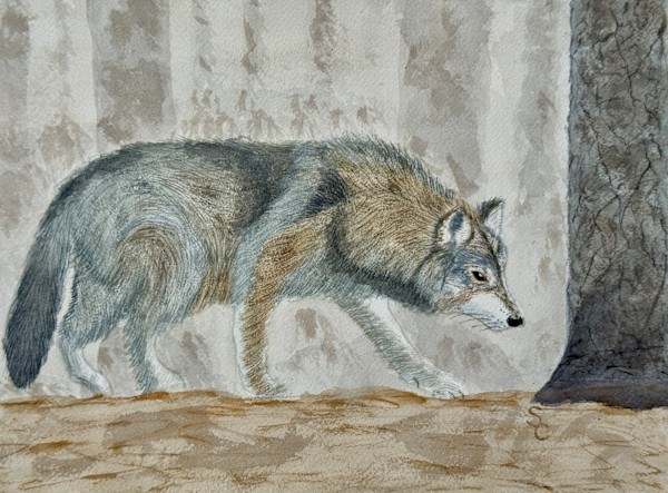 Hungry Like the Wolf (Gray Wolf) by Shelley Crouch, Image 1.