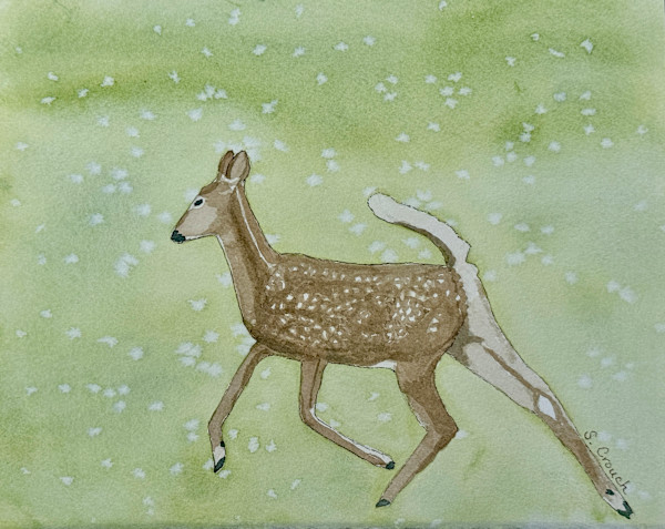 Oh, Deer! (White-tailed Deer) by Shelley Crouch, Image 1.