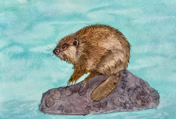 The Quiet Engineer (American Beaver) by Shelley Crouch, Image 1.