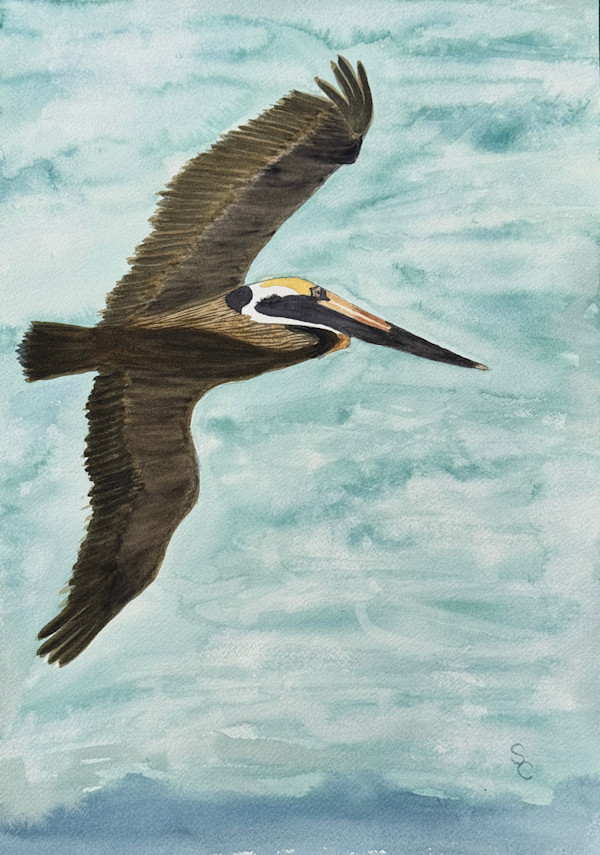 Sunday Afternoon Fishing (Brown Pelican) by Shelley Crouch, Image 1.