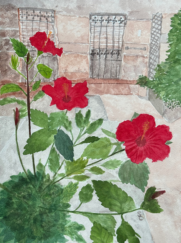 Brownstones and Red Hibiscus by Shelley Crouch, Image 1.