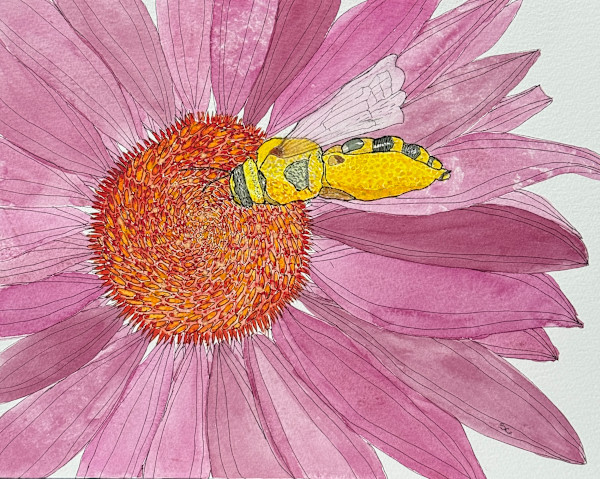 Pollen Buffet by Shelley Crouch, Image 1.