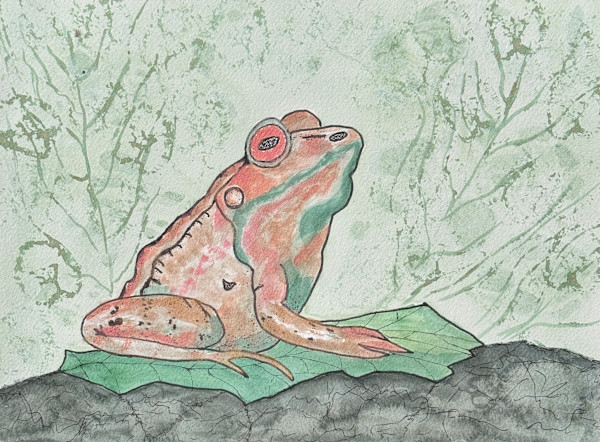 Jumpin’ Jiminy (Green Frog) by Shelley Crouch, Image 1.