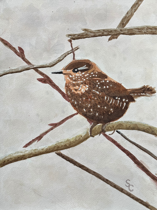 Hang On by Shelley Crouch, Image 2.