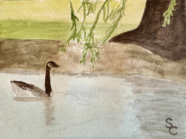 Sunday Afternoon Swim by Shelley Crouch