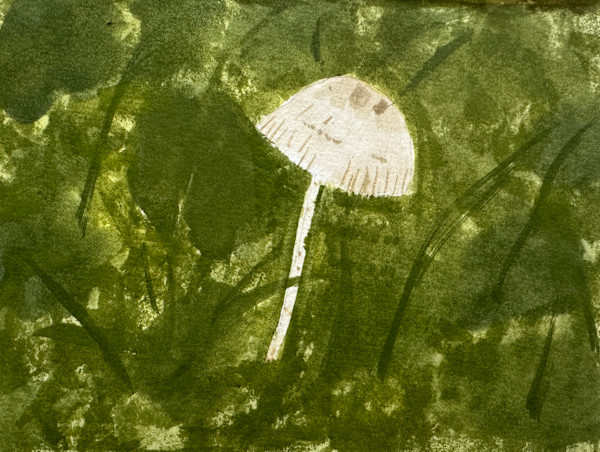 Hidden Cap by Shelley Crouch