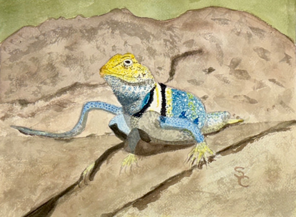 Desert Jewel by Shelley Crouch