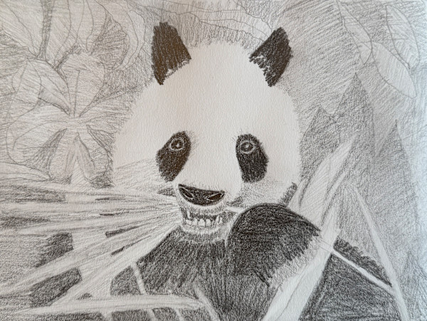 Nom Nom by Shelley Crouch
