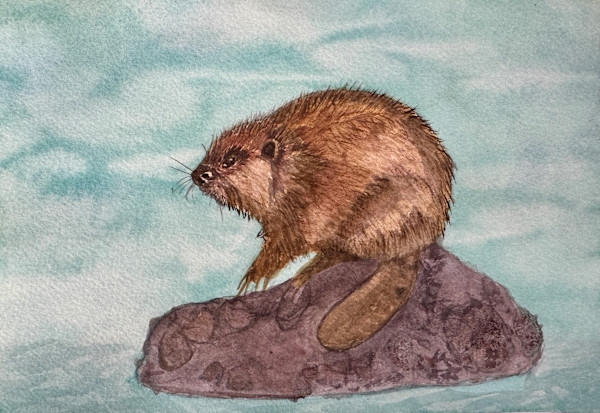 The Quiet Engineer by Shelley Crouch