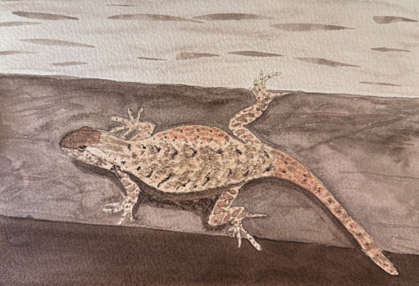 Sunbather of the Southwest by Shelley Crouch
