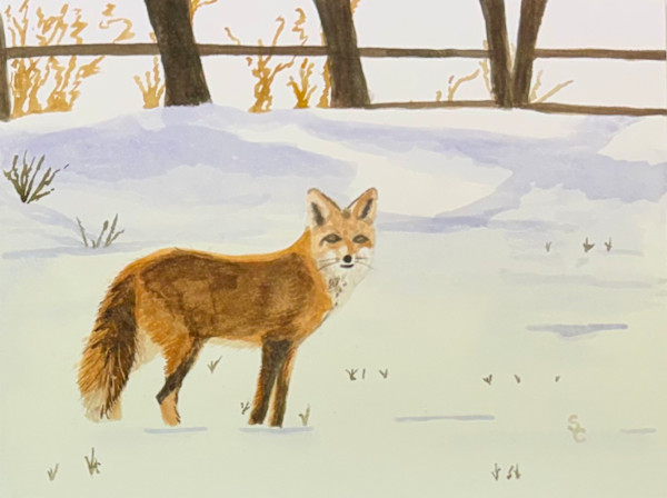Stone Cold Fox by Shelley Crouch, Image 1.