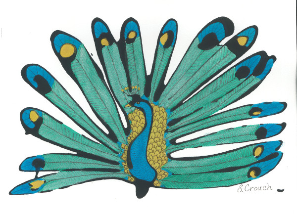 Peacock Pride by Shelley Crouch