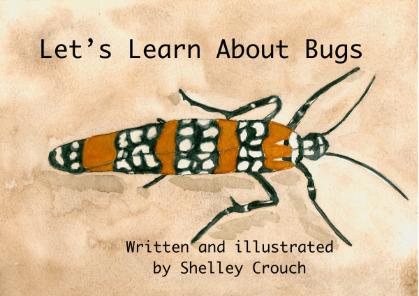 Let's Learn About Bugs by Shelley Crouch