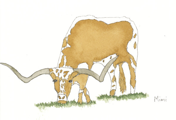 Longhorn steer by Shelley Crouch
