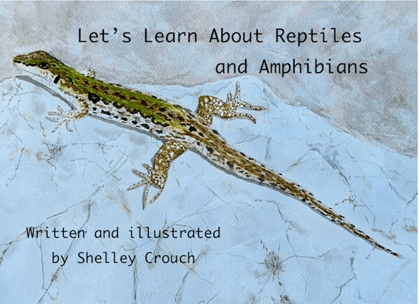Let's Learn About Reptiles and Amphibians book cover by Shelley Crouch