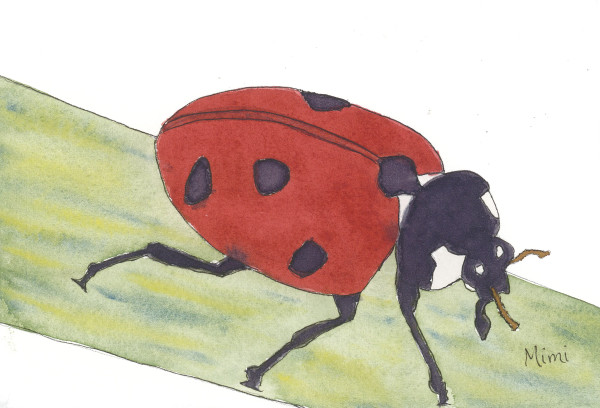 Ladybug by Shelley Crouch