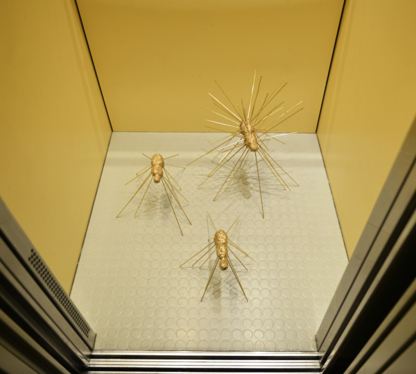 Three giant ants by Gerhard Petzl