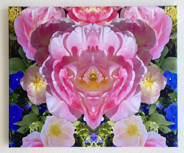 Pink tulips happiness by Gerhard Petzl