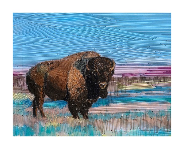American Bison by Irmgard Geul