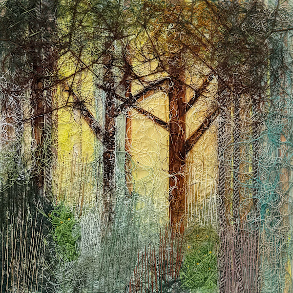 Into The Forest by Irmgard Geul, Image 1.
