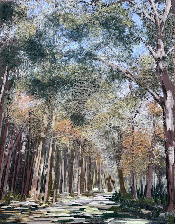 Forest Path by Irmgard Geul, Image 1.