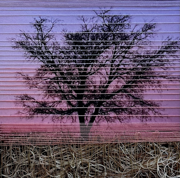 Sunset With Tree by Irmgard Geul, Image 1.