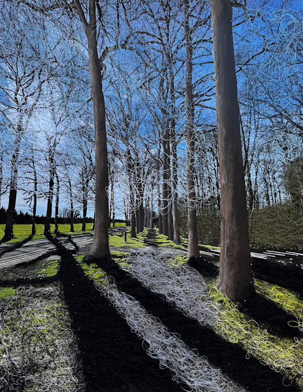 The Shadows of Trees by Irmgard Geul