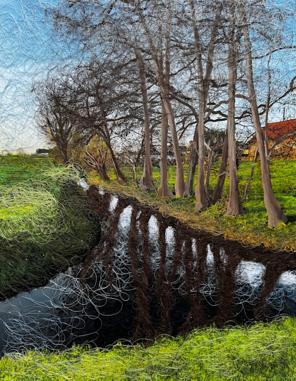 Early Spring Shadows by Irmgard Geul