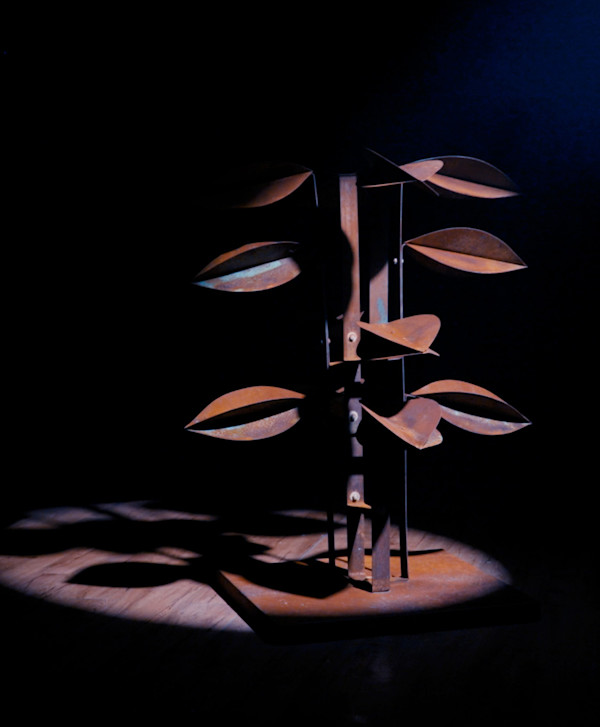 ACERO ARBOREO I by Daniel Alberto Criales Zarate