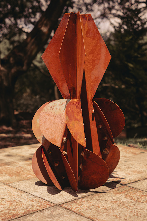 RIZOMA DE ACERO by Daniel Alberto Criales Zarate