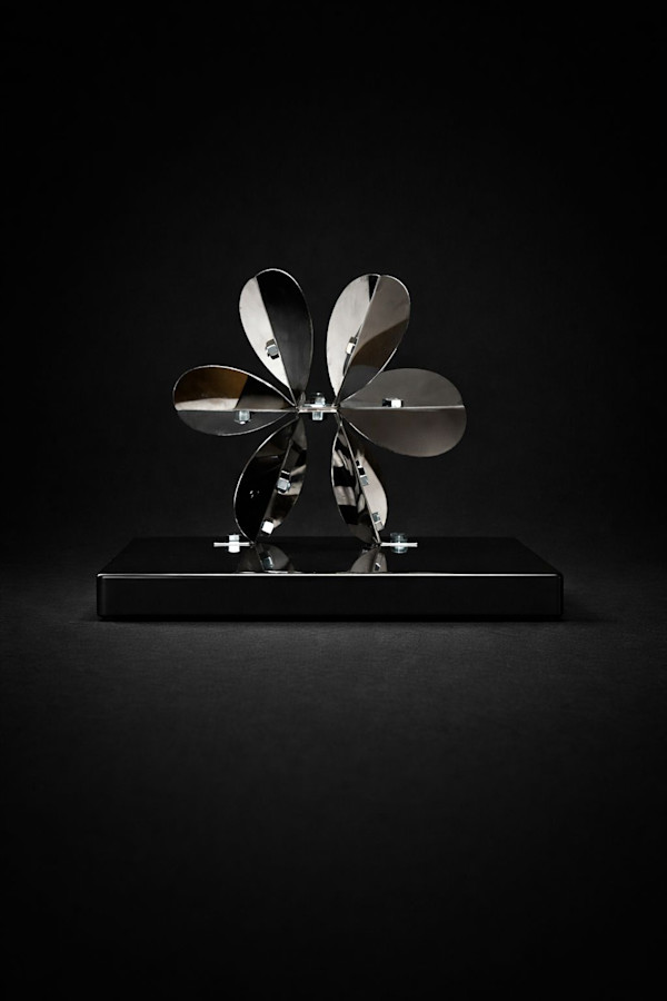 HÉLICEA MINERAL I by Daniel Alberto Criales Zarate, Image 1.