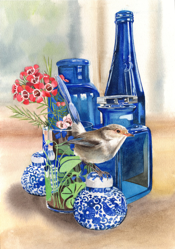 Female Splendid wren and Geraldton Wax by Polla Posavec