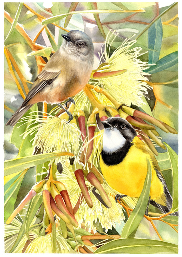 Golden Duet - Western Whistlers by Polla Posavec