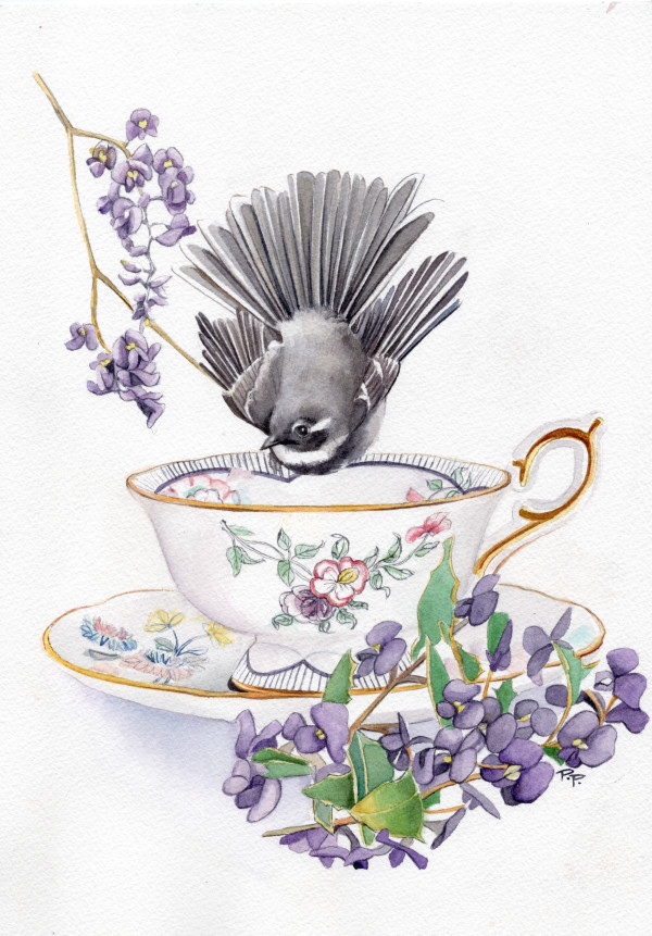 Grey Fantail and Hardenbergia by Polla Posavec