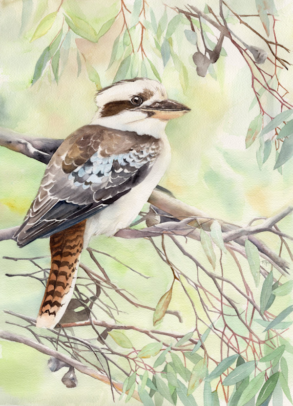 Kookaburra in the Old Gum Tree by Polla Posavec