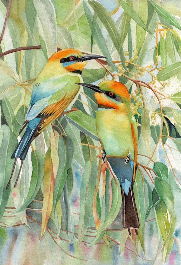 Rainbow Bee-Eaters by Polla Posavec