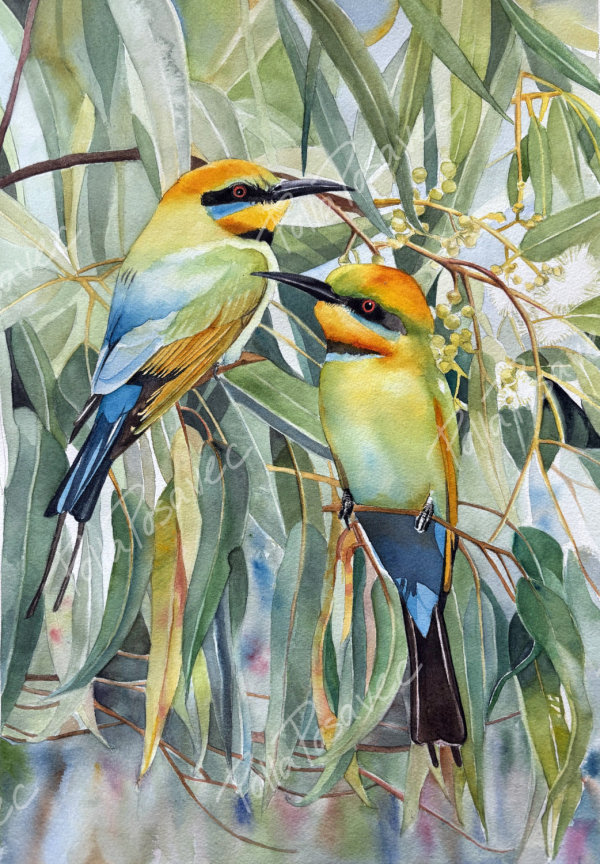 Rainbow Bee-Eaters by Polla Posavec