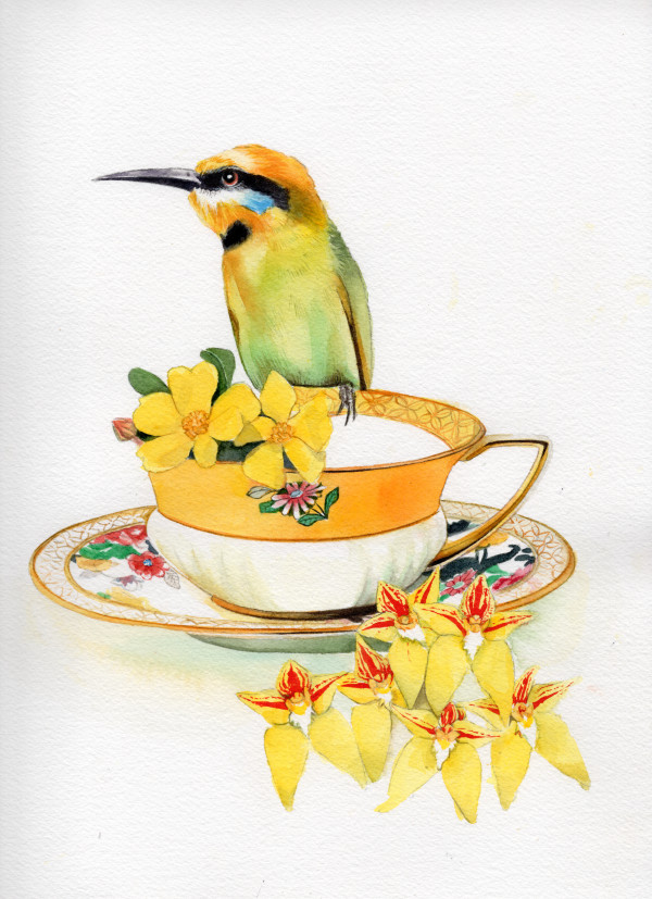 Rainbow Beeeater, Hibbertia and Cowslip Orchids by Polla Posavec