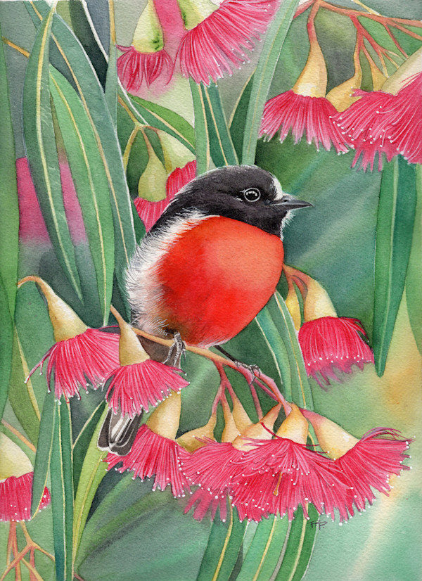 Scarlet Robin & Pink Flowering Gum by Polla Posavec