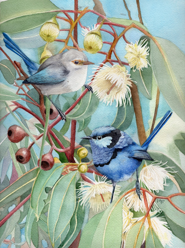 Something Splendid by Polla Posavec