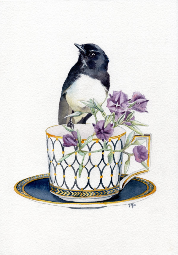 Willie Wagtail and Fringed Lillies by Polla Posavec