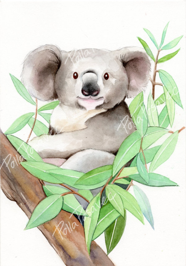 Koala (mini) by Polla Posavec