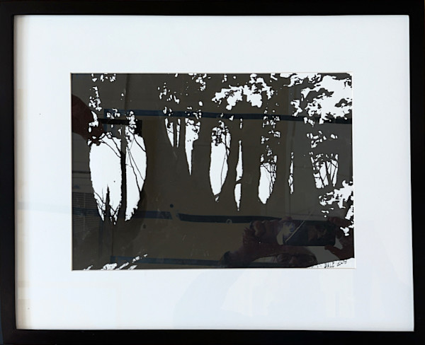 Chippewa Oaks by Dale Whittaker, Image 1.