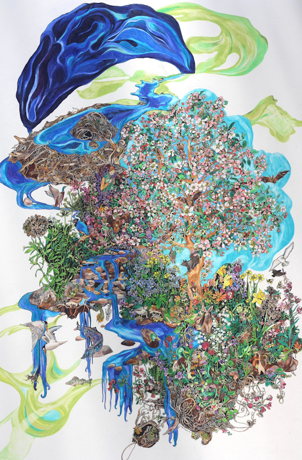 Duck Creek Watershed by Sarah Holst, Image 1.