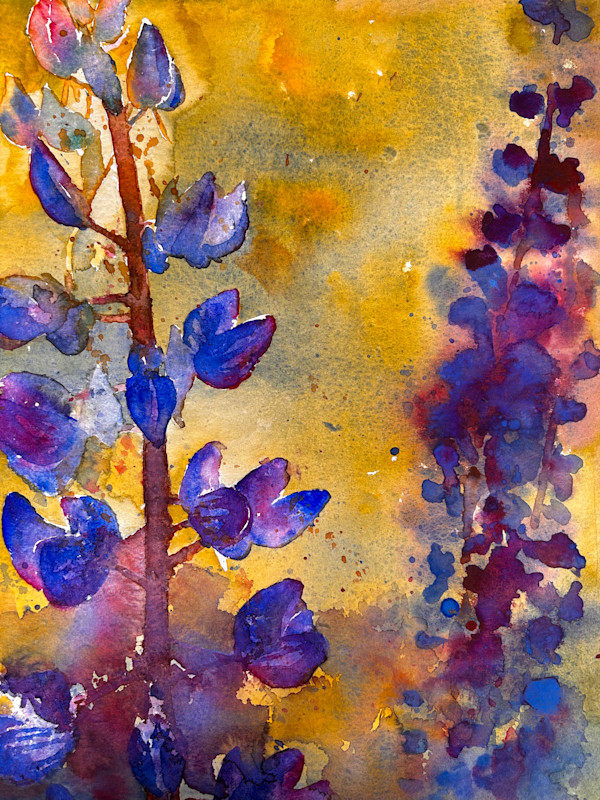 Golden Hour Lupine by Dale Whittaker